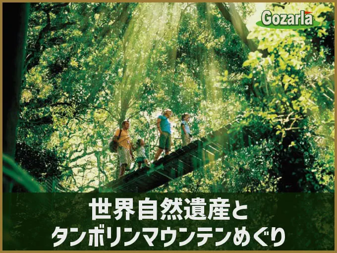 世界自然遺産とタンボリンマウンテンめぐり