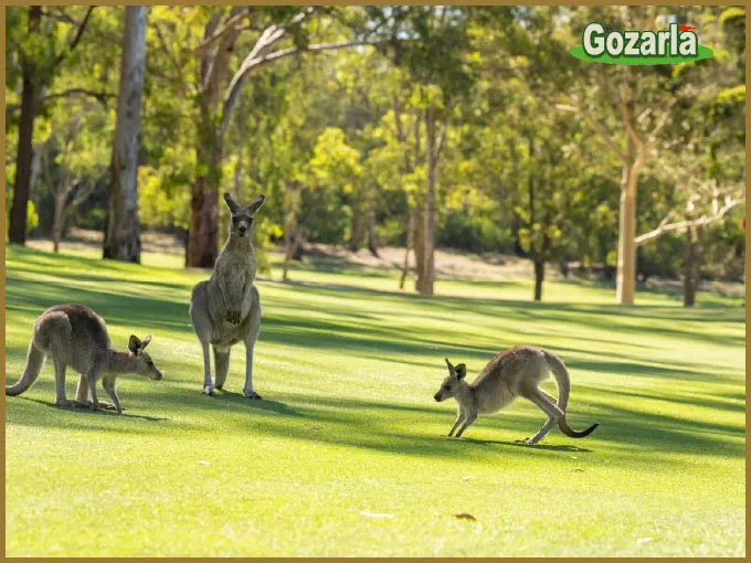 リバーサイドオークスゴルフリゾートイメージ