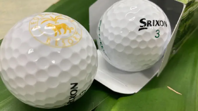 ツアーイメージ