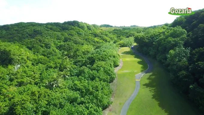 タロフォフォ&マンギラオ2ラウンドプランイメージ