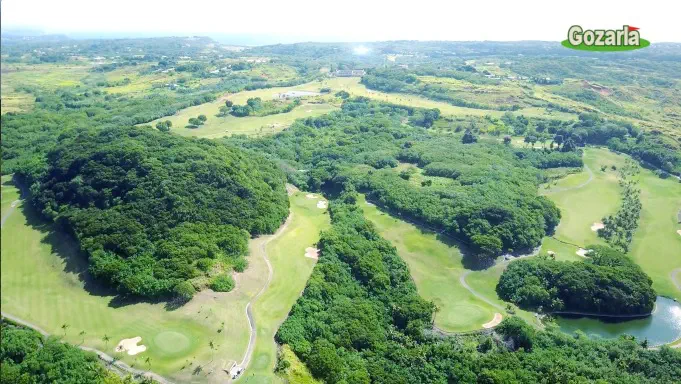 タロフォフォ&マンギラオ2ラウンドプランイメージ