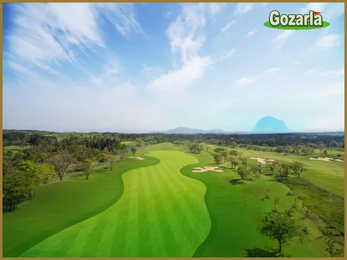 ピンクスゴルフクラブイメージ