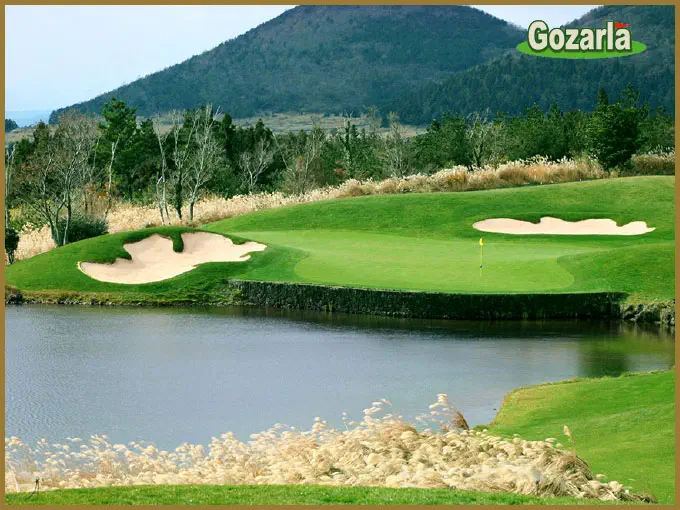 ピンクスゴルフクラブイメージ