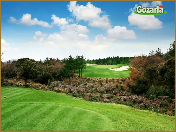 ピンクスゴルフクラブイメージ