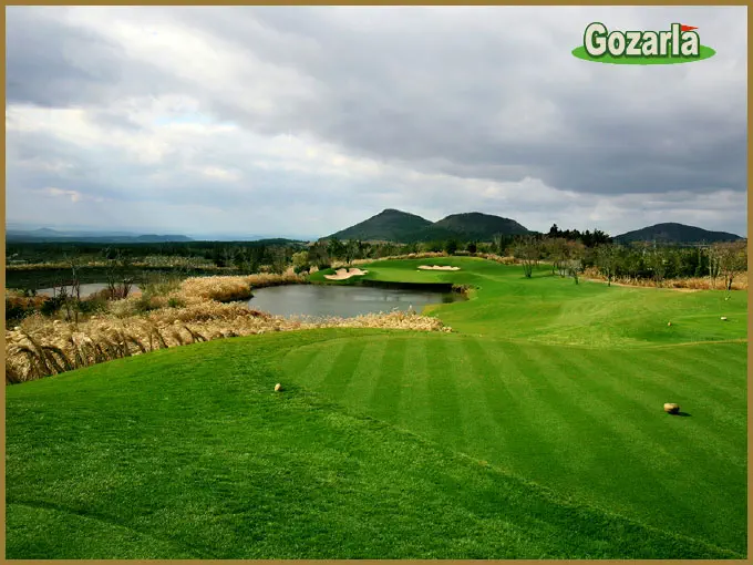 ピンクスゴルフクラブイメージ