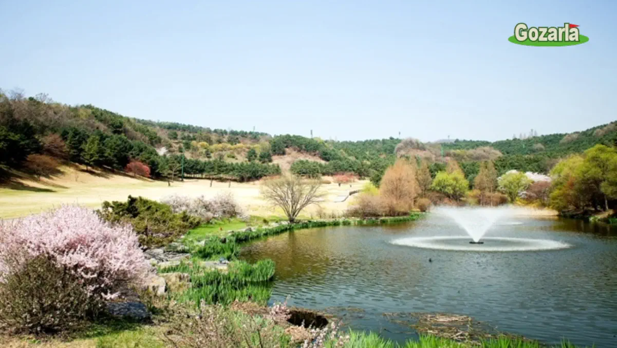 88カントリークラブイメージ