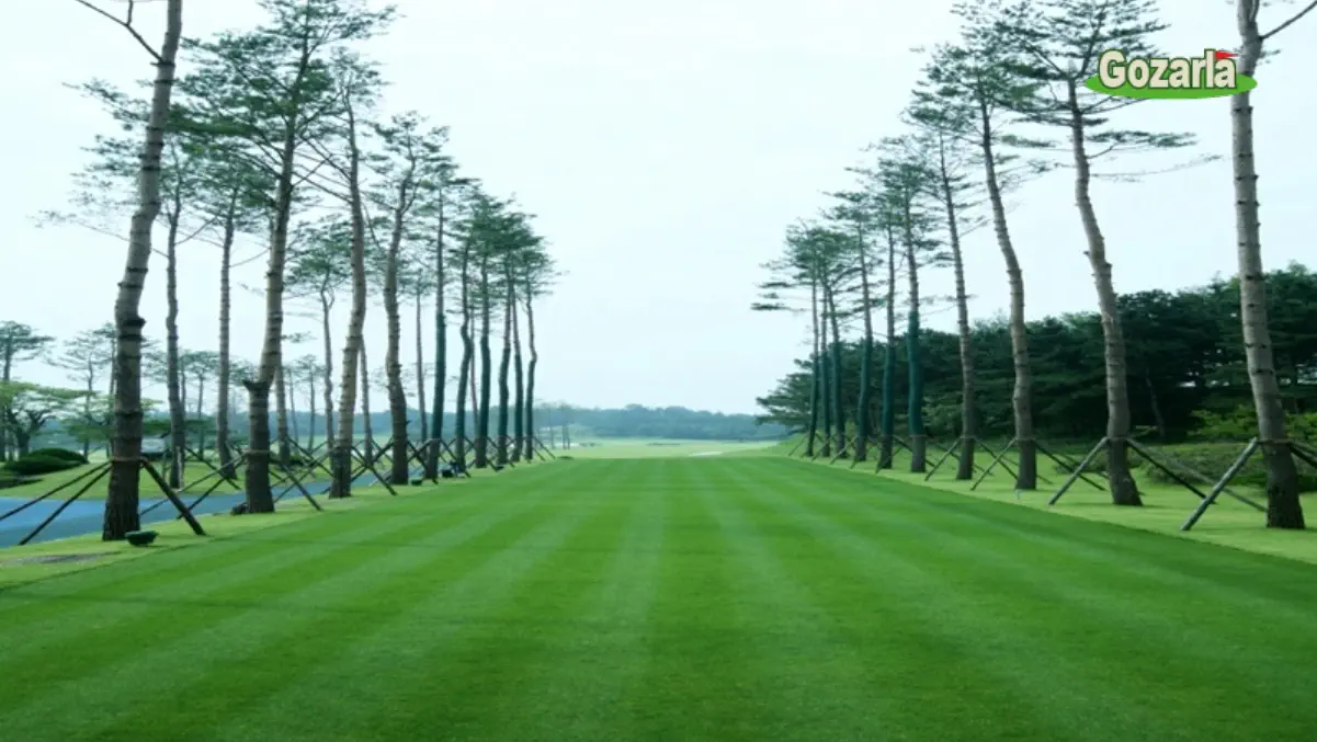 ソルモロカントリークラブイメージ