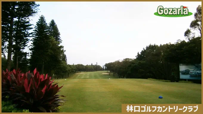 台湾ゴルフ