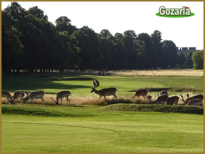 ハンプトンコートパレスゴルフクラブイメージ