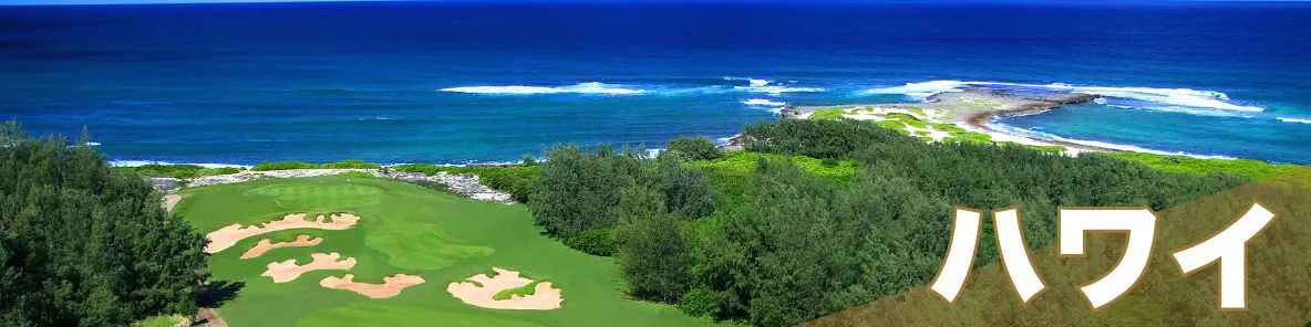 【ハワイ】完全プライベート送迎。仲間内だけで快適なハワイ旅行